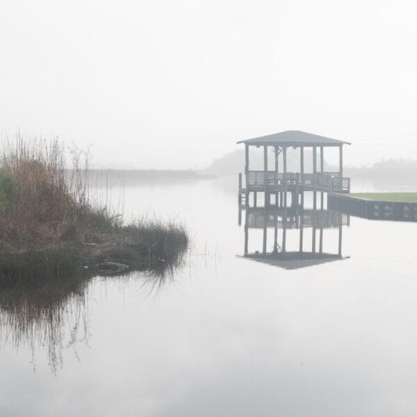 Schahfer Foggy Morning on the Bayou