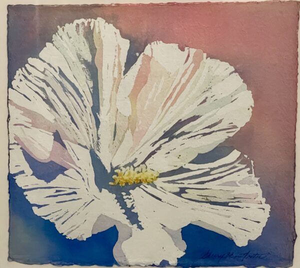Hibiscus