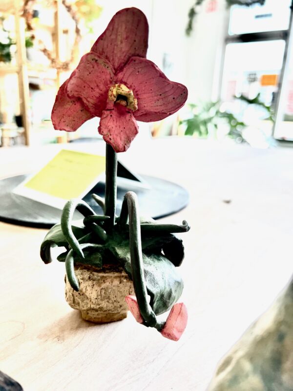 Orchid