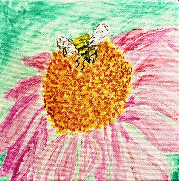 Coneflower Friend