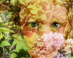 Leif in Lilacs