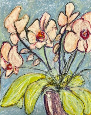Orchids
