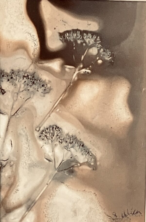 Chocolate Sprigs