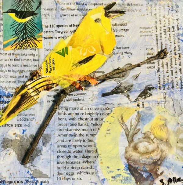 Yellow Warbler