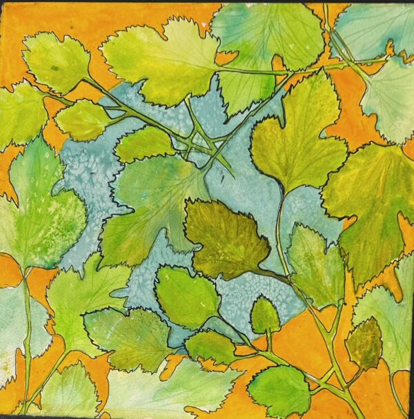 White Mulberry