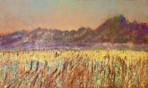 Fields of Gold