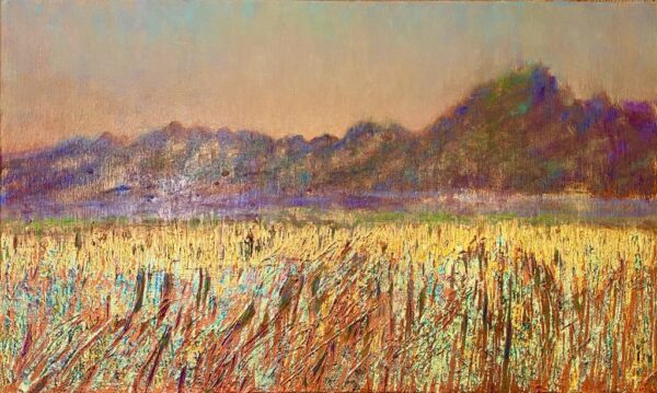 Fields of Gold