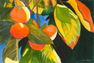 Five Persimmons