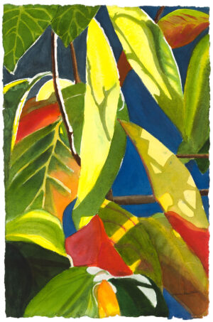 Sun and Shadow