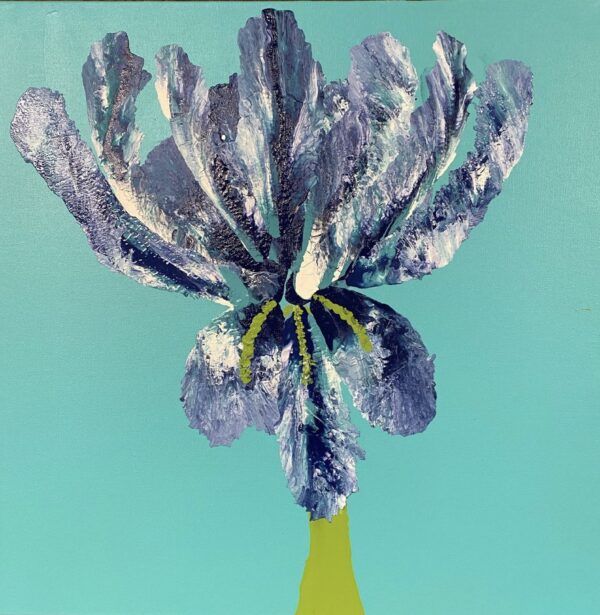 Iris