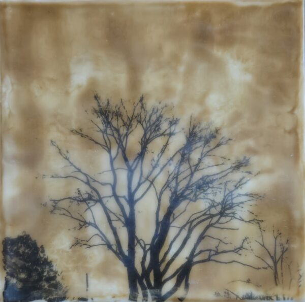Guzman - Silhouette in Sepia