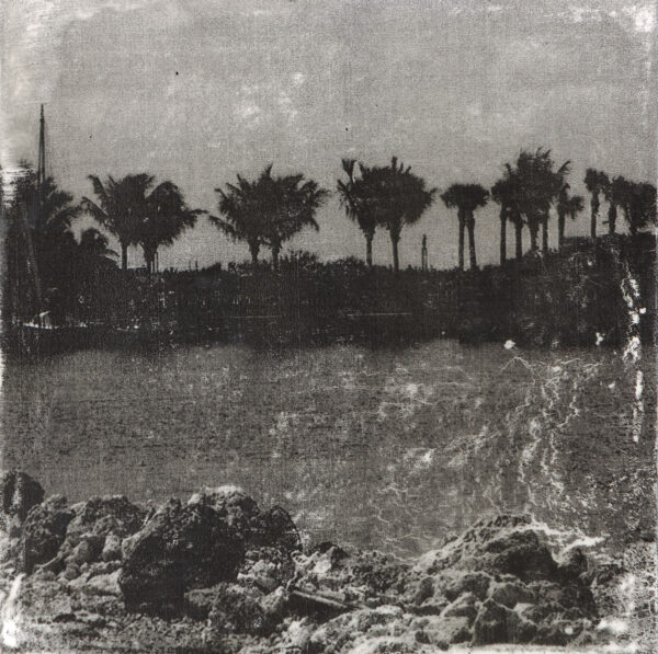 Lee - Close to Cuba