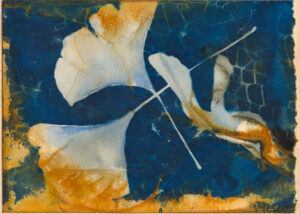 Lee - Blue Ginkgo