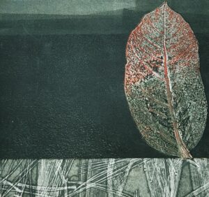 Roe - Green Morning