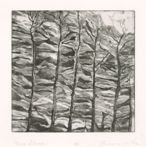Lee - Pine Grove