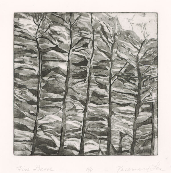 Lee - Pine Grove