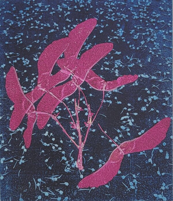 Roe - So Many Maple Seeds #4