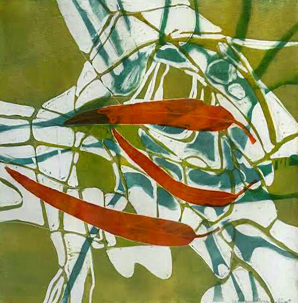 Host - Eucalyptus Trio