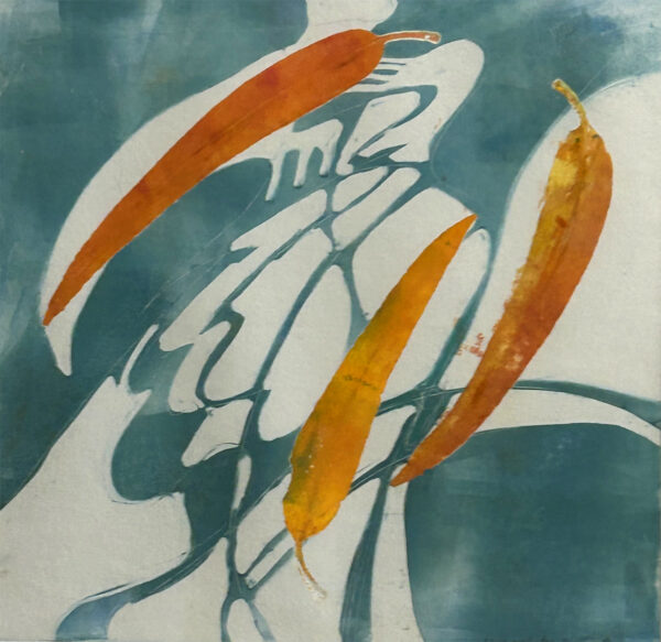 Host - Eucalyptus Wing