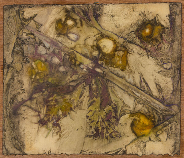 Lee - Thistles