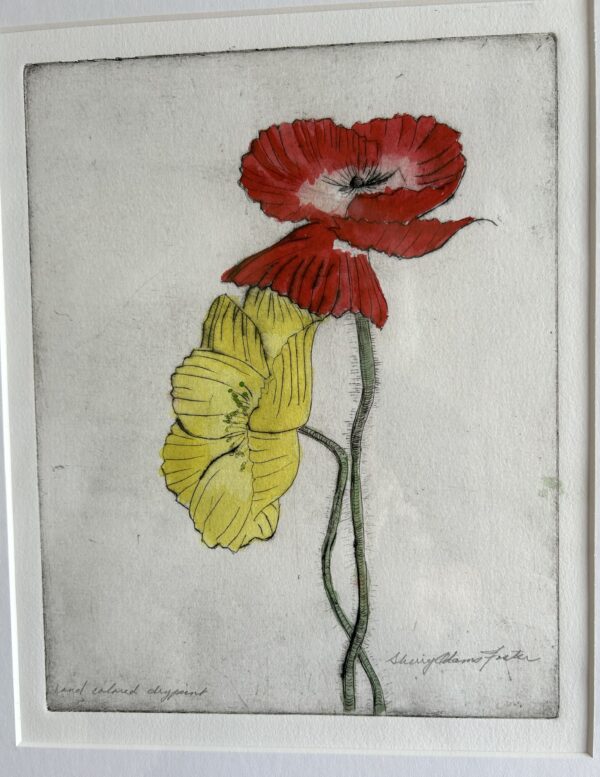 Foster - Iceland Poppies