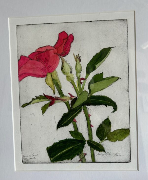 Foster - Pink Rose