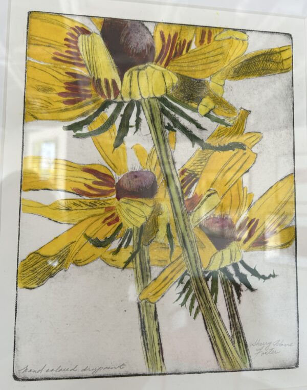 Foster - Yellow Rudbeckia