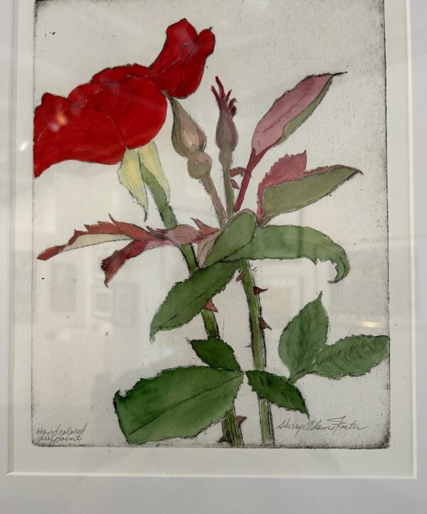 Foster - Red Rose