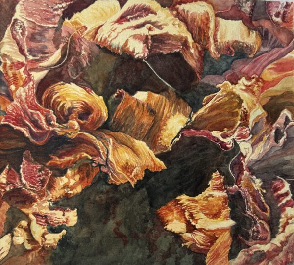 Swanson-Flores - Delicate Fading