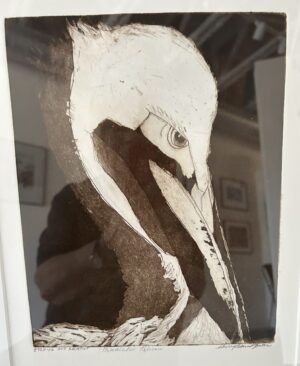 Prudish Pelican - bin