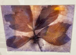 Warm Brown and Purple Leaf - bin