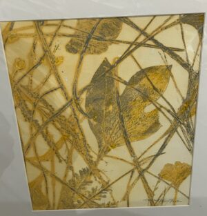 Sassafras and Friends - bin