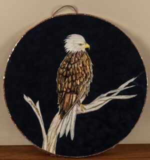 The Wings That Carry Us