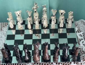 Nash - Reigning Cats & Dogs