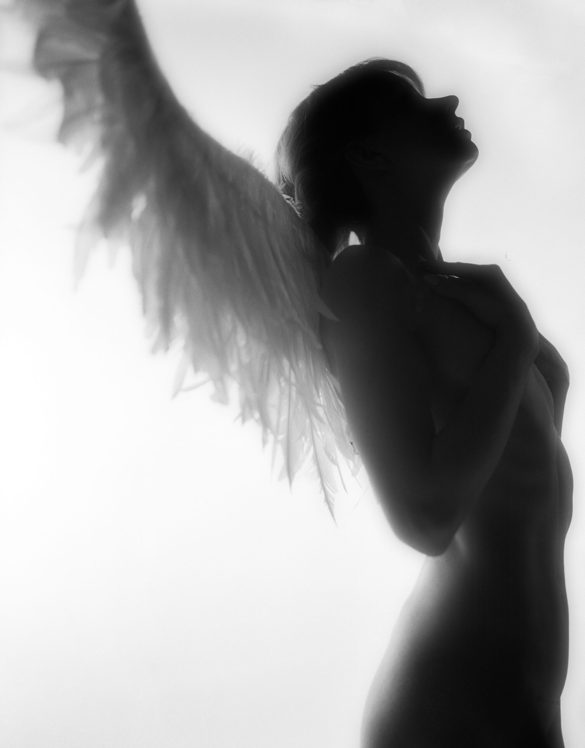 Crowdergabriel Ascend Scaled