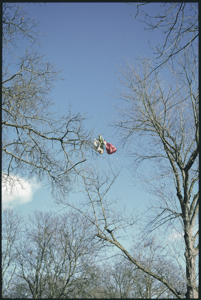 Houserdale Untitled Feb