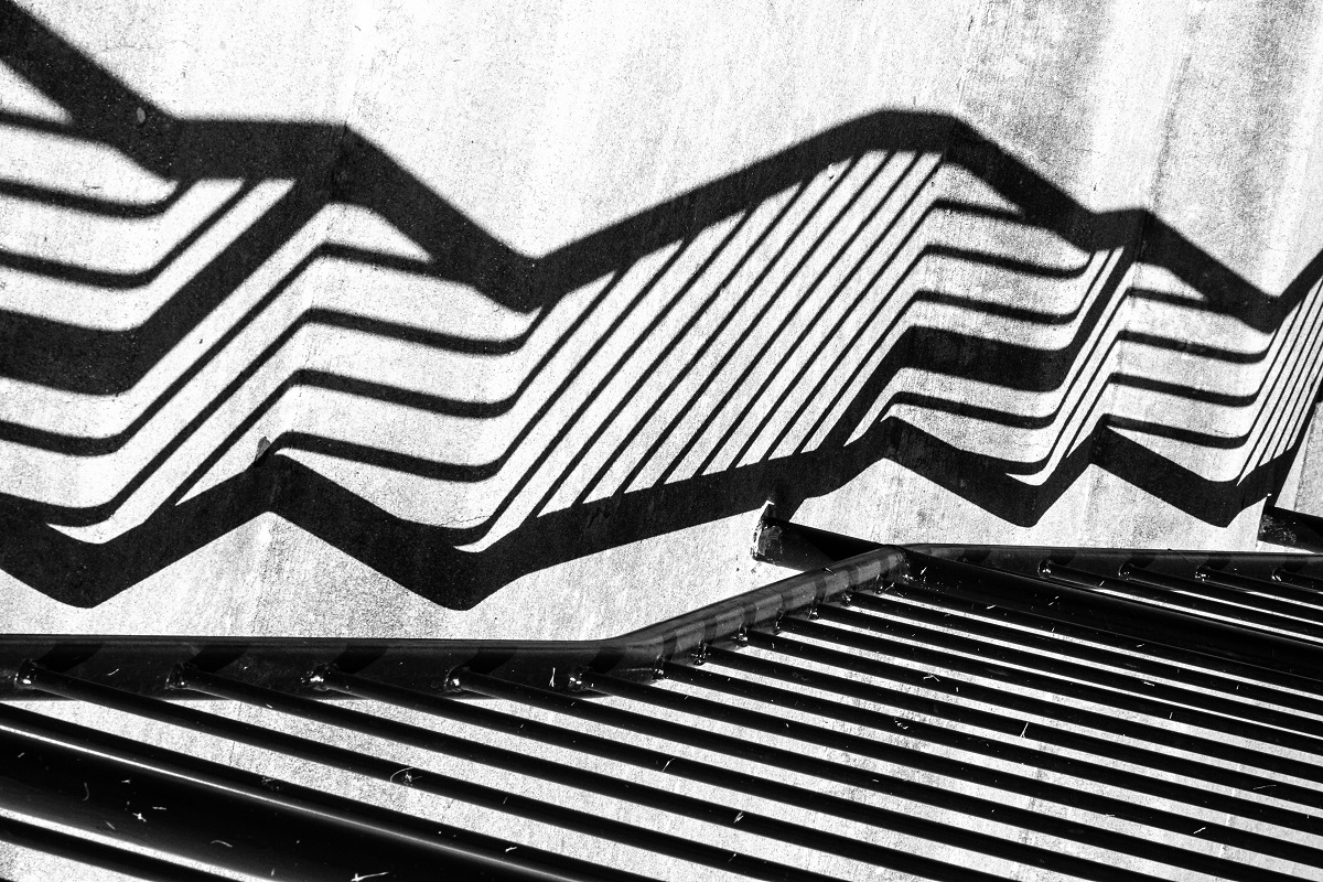 Mozugaileen Fence Jpg