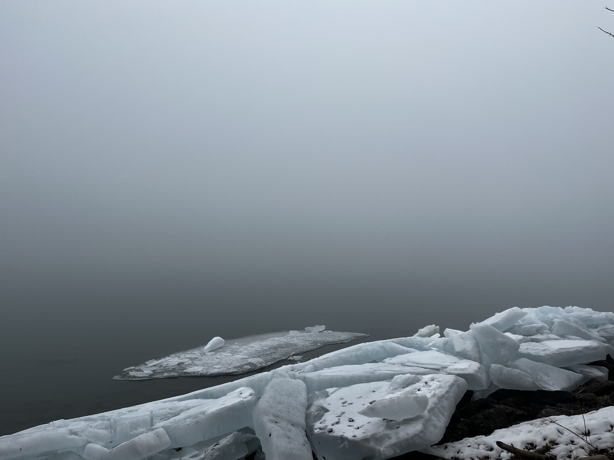 Riverajennifer Breaking Winter Scaled