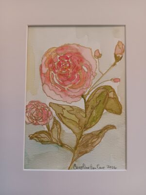 Original Pale Pink Roses - bin