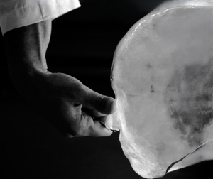 BARKER - "Reshaping the American Voter"