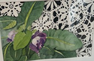 Gloxinia And Old Lace Gloxinia and Old Lace