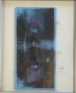 X-ray, Birds