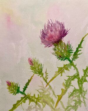 Thistle Thistle