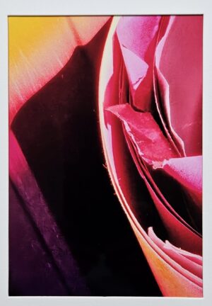 BALTZELL MCENEANEY - Pinks