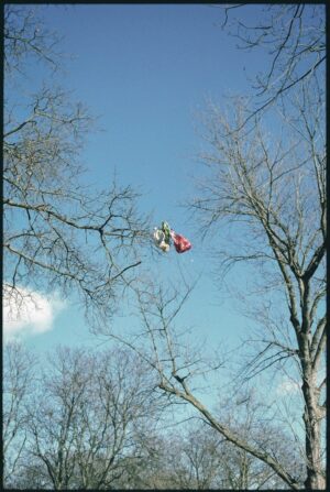 HOUSER - Untitled 2 - Feb 2026