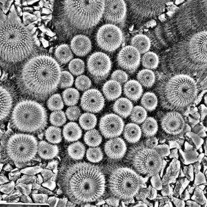 VALENTI - A World of Hurt