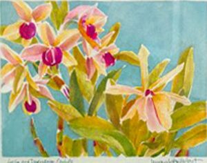 Laelia And Dendrobium Orchids Laelia and Dendrobium Orchids