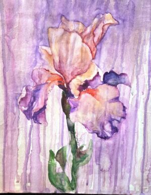 Iris Iris #1
