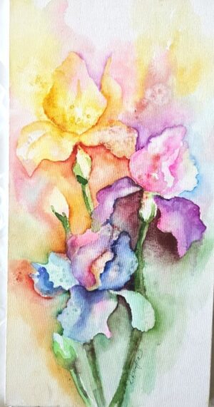 Iris Iris #2
