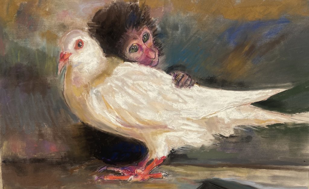 Annette Goze White Dove And Macaque September 2026 Here's Looking at Hue by The Articipate Collective